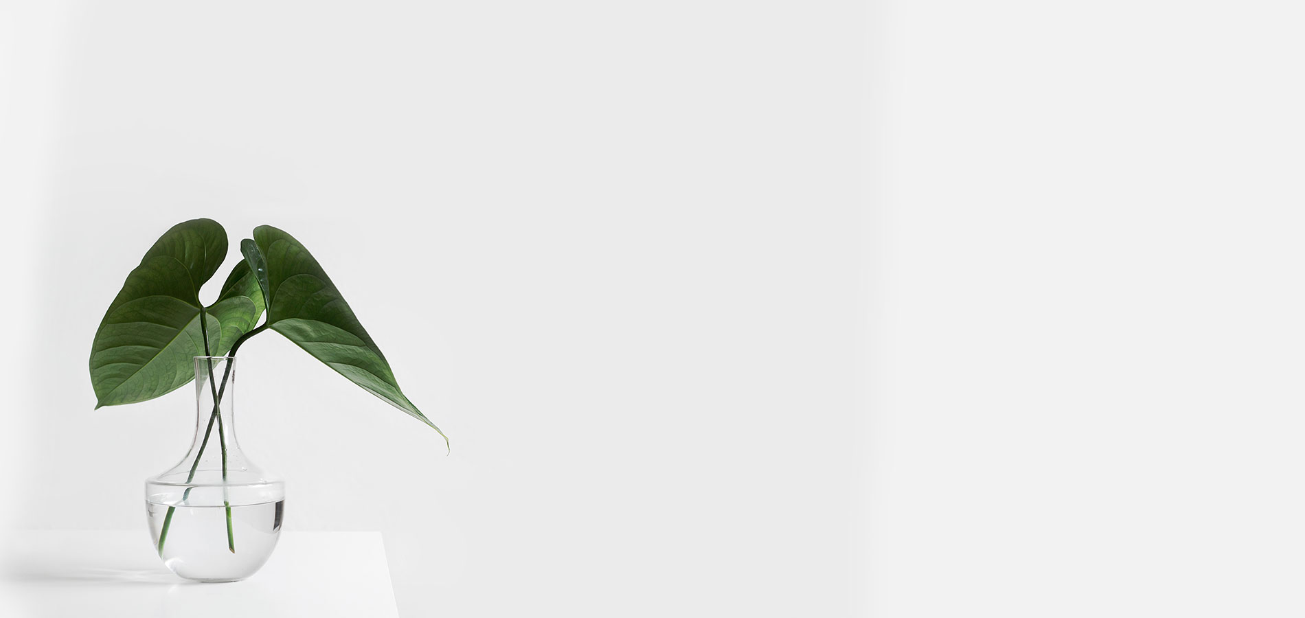 Maxiprint info background image